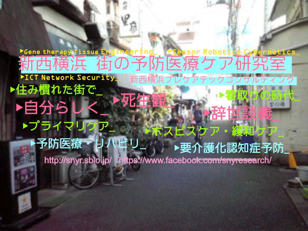 VlX̗\hÃPA